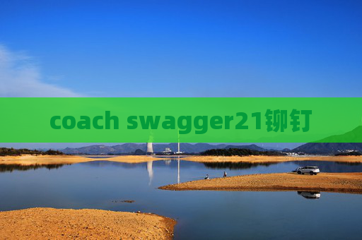 coach swagger21铆钉